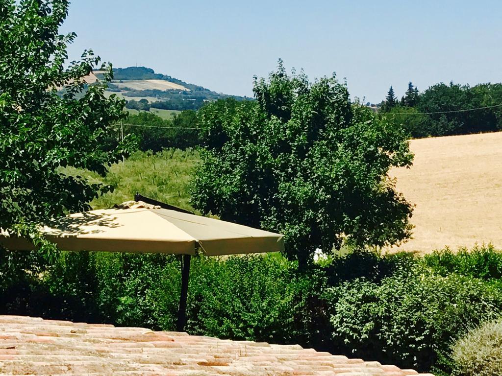 Badia Agriturismo La Torraccia Luaran gambar