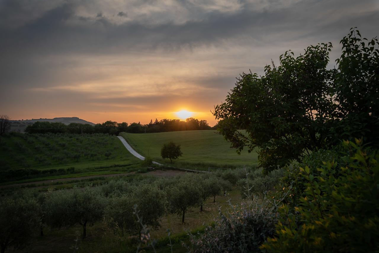 Badia Agriturismo Villa La Torraccia Luaran gambar